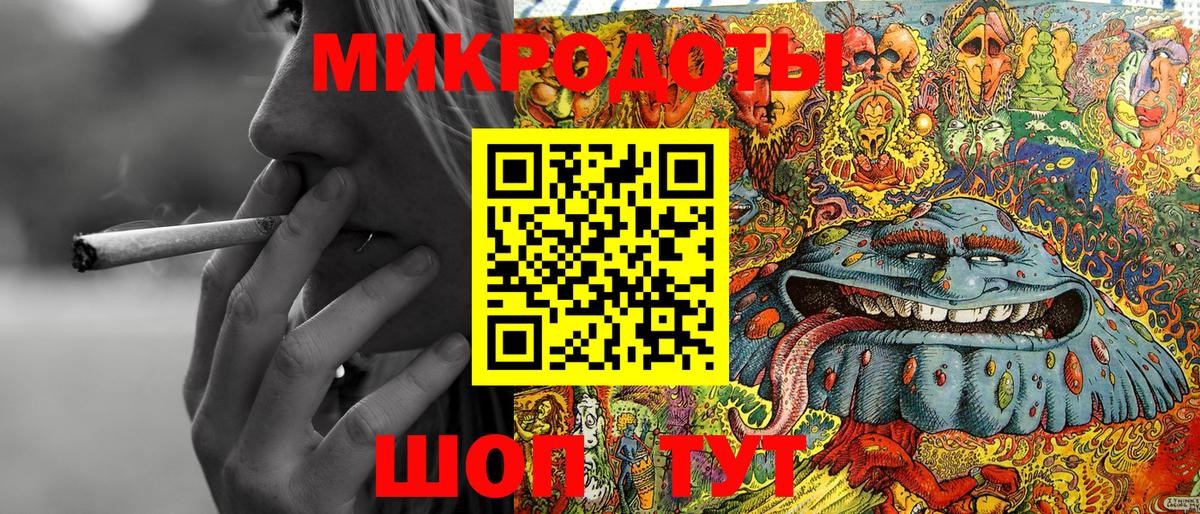 Псилоцибиновые грибы Cubensis Балтийск