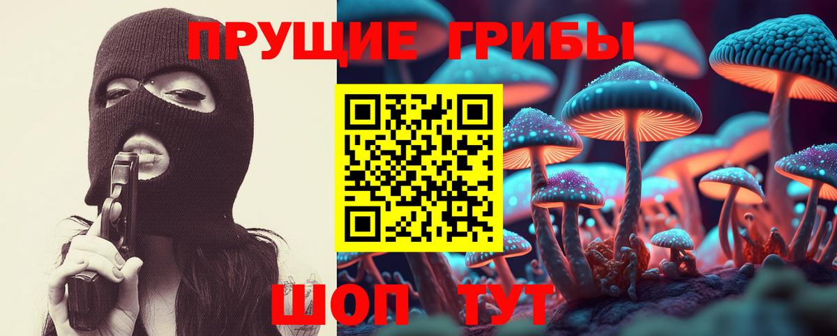 Галлюциногенные грибы Psilocybe  Вход с VPN  Балтийск  Псилоцибиновые грибы Psilocybe 